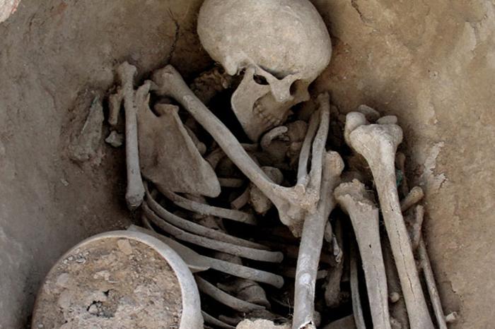 VISITA GUIADA AL YACIMIENTO ARGÁRICO DE LA BASTIDA , MÁS TALLER DE ARQUEOLOGÍA PARA FAMILIAS VISITA GUIADA AL YACIMIENTO ARGÁRICO DE LA BASTIDA , MÁS TALLER DE ARQUEOLOGÍA PARA FAMILIAS