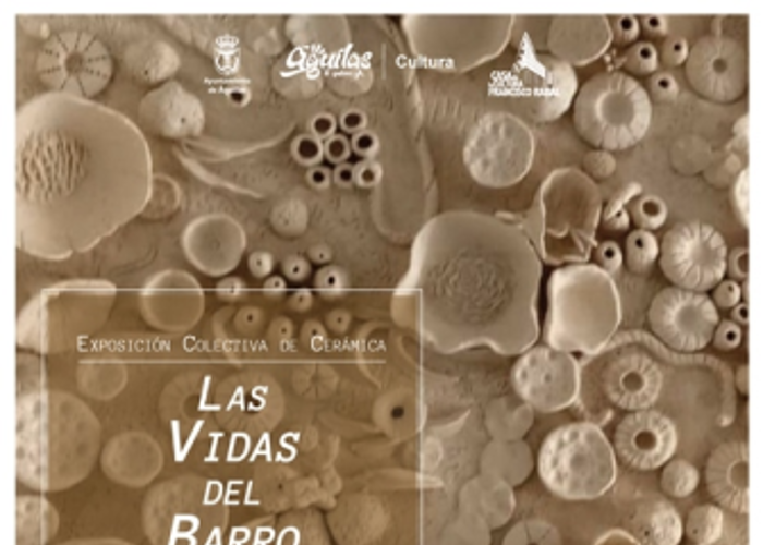 LAS VIDAS DEL BARRO LAS VIDAS DEL BARRO