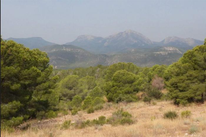 LA MUELA: AVES Y NATURALEZA ENTRE ESPUA Y EL GUADALENTN 