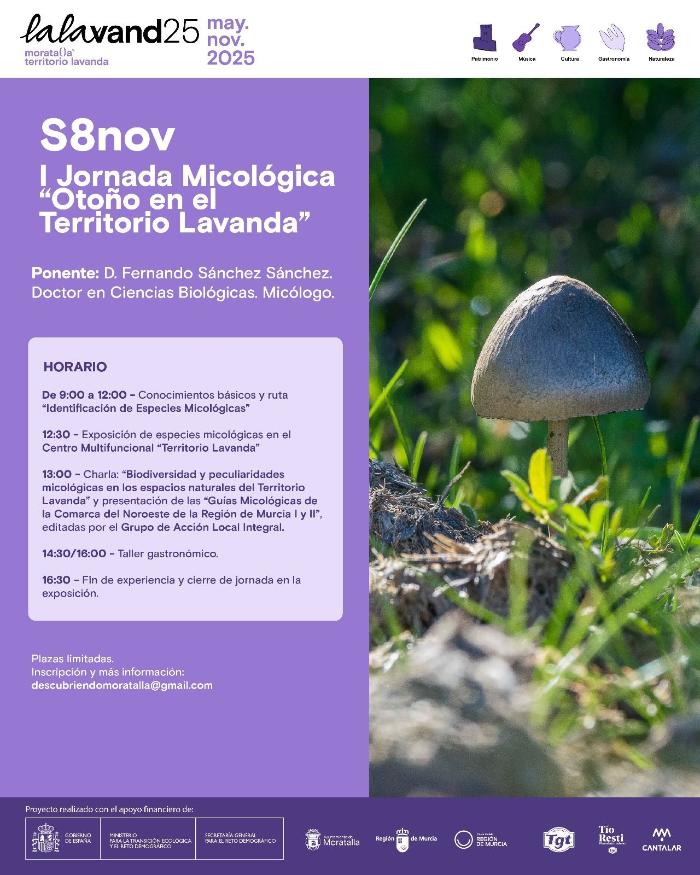 I JORNADA MICOLGICA, OTOO EN TERRITORIO LAVANDA.