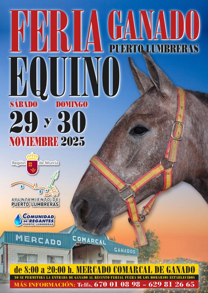 FERIA  DE GANADO EQUINO