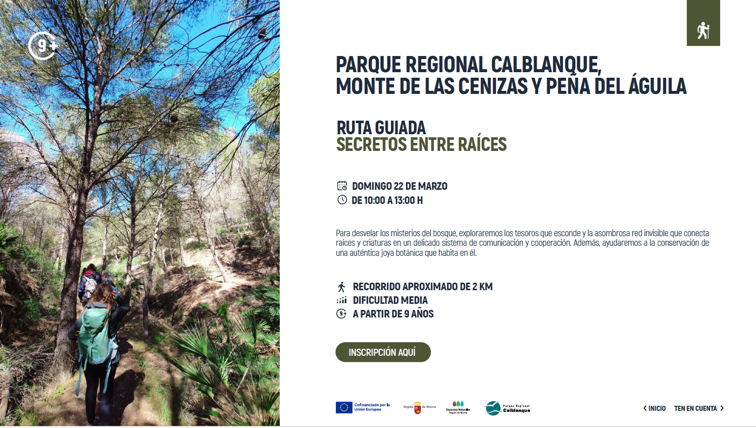 Ruta guiada secretos entre ra�ces