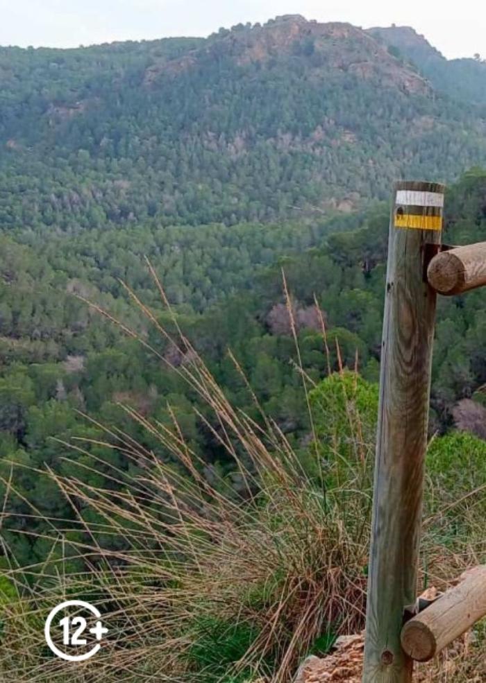 RUTA GUIADA CAMINOS DE DIVERSIDAD Y RESILIENCIA