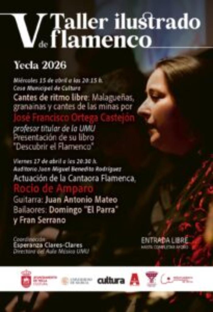 V taller ilustrado de flamenco 