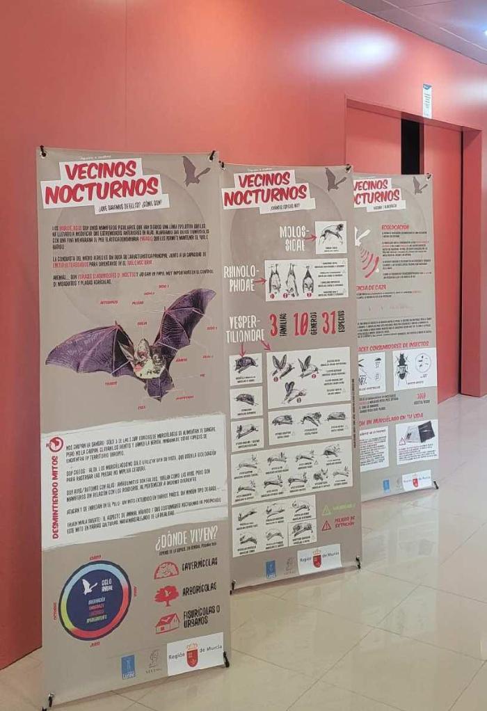 Exposici�n murci�lagos: los guardianes de la noche