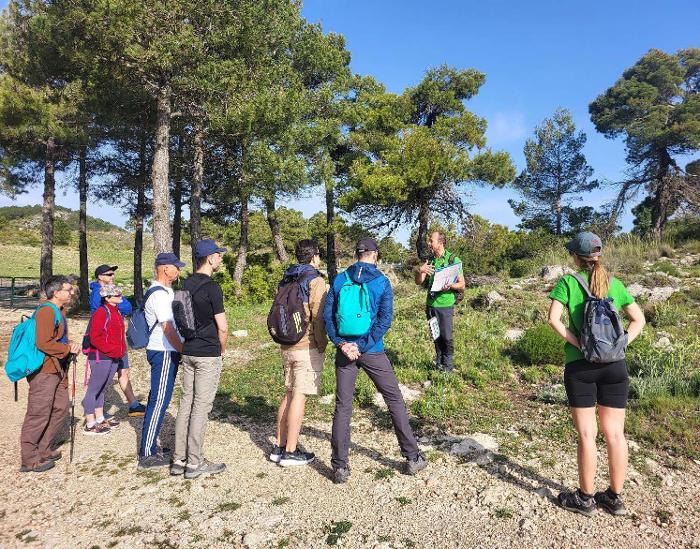 Los tesoros de las cumbres de espu�a
