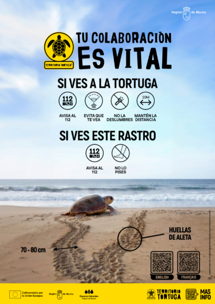 SiMulacro territorio tortuga salinas de San Pedro