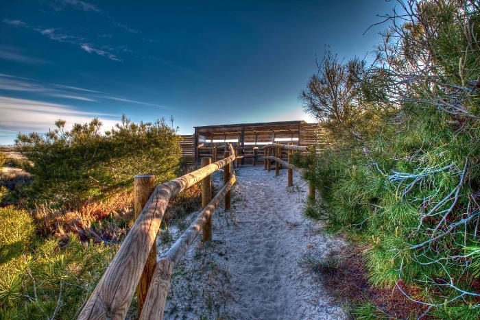 Vida en el mundo de la sal - visitas guiadas gratuitas 2026