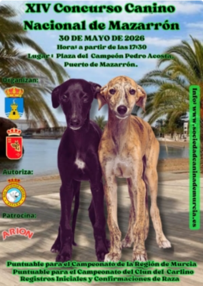 XIv concurso canino nacional de Mazarr�n