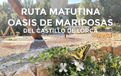 Ruta matutina: oasis de mariposas del Castillo de Lorca.
