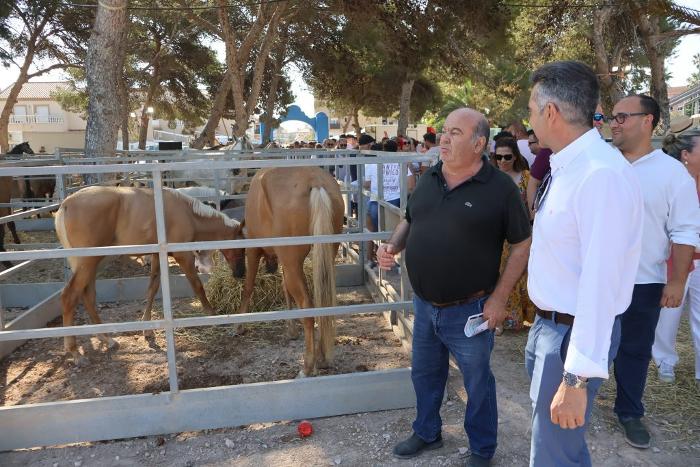 CcxXVIIII real feria de ganado de San Pedro del pinatar