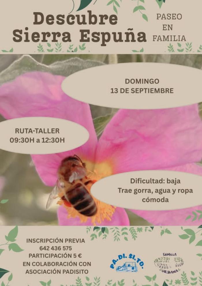 Descubre sierra espu�a