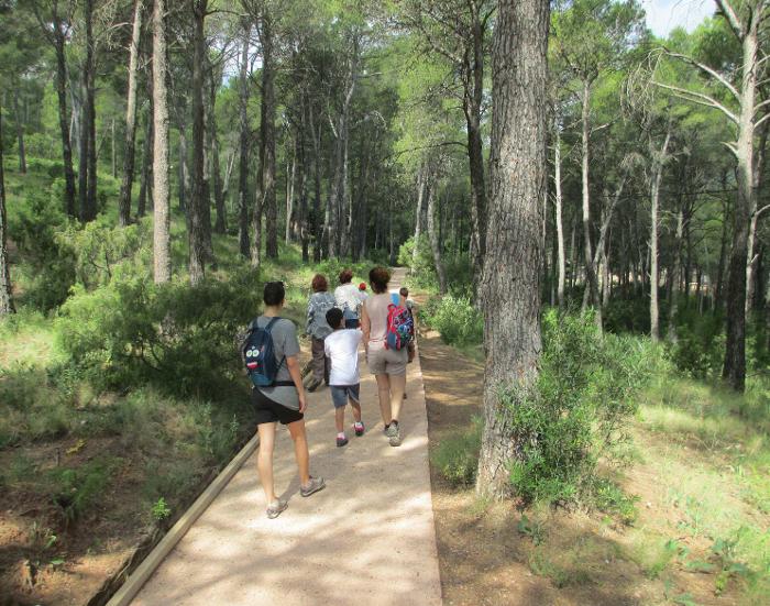 La vida en el bosque