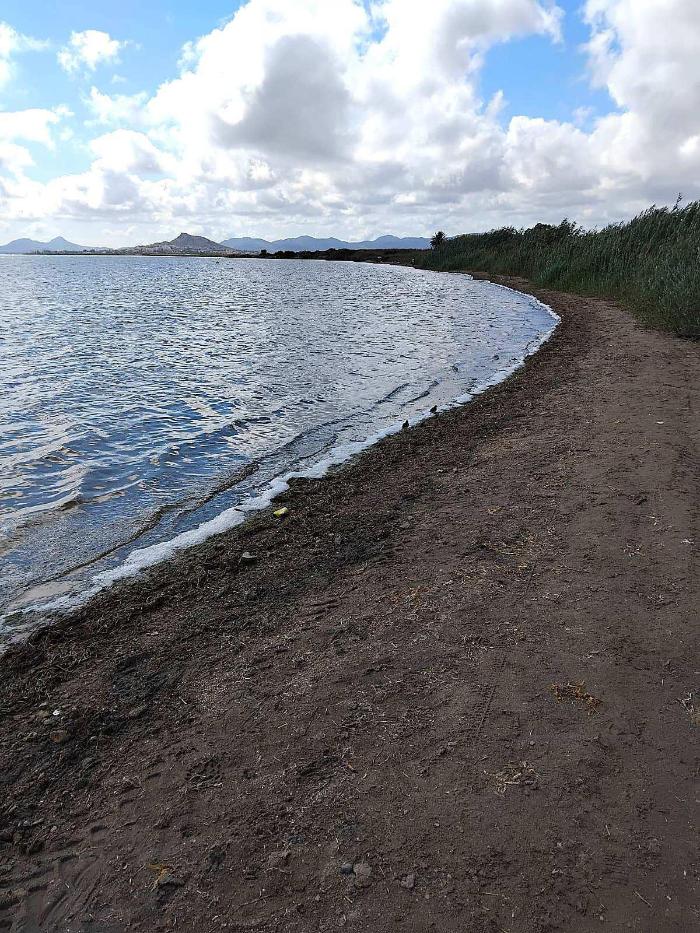 1 m2 por el Mar Menor