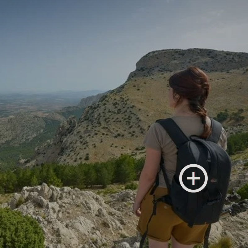 Sierra Espu�a, el coraz�n verde de la Regi�n