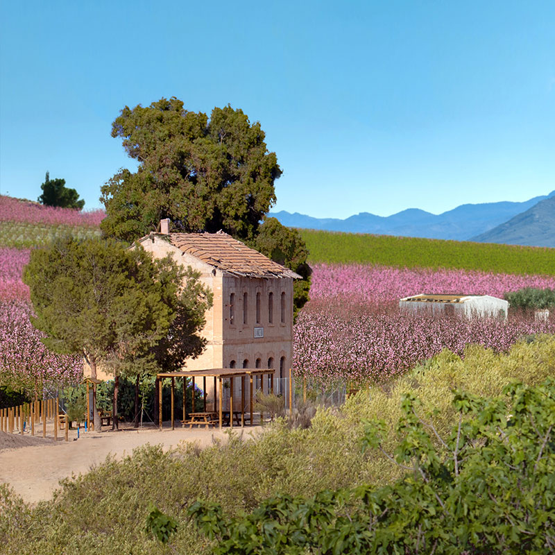La Voie Verte de la Floraison de Cieza