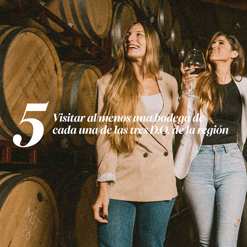 Visitar al menos una bodega de cada una de las tre D.O. de la regi�n