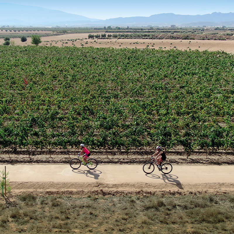 V�a Verde del Chicharra