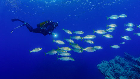 Cartagena - La Azoh�a  - Cabo Ti�oso