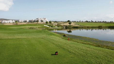M�s informaci�n sobre Hacienda Riquelme