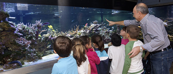 �La Sirenita o Neptuno?