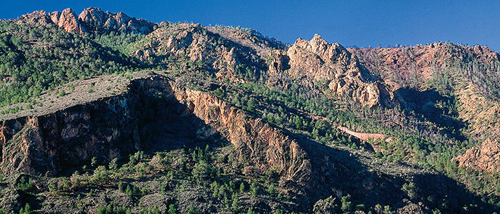 �Qu� tal si os calz�is las zapatillas de deporte y cog�is las bicis de monta�a?