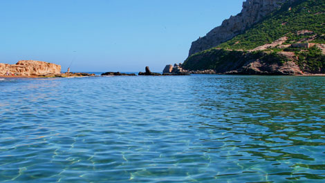 Aguilas