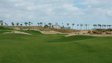 M�s informaci�n sobre Saurines de la Torre