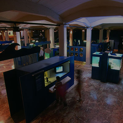 M�s informaci�n sobre Museos de Ciencia y Tecnolog�a