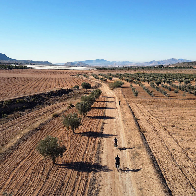 Enlace con m�s informaci�n sobre esta V�a Verde