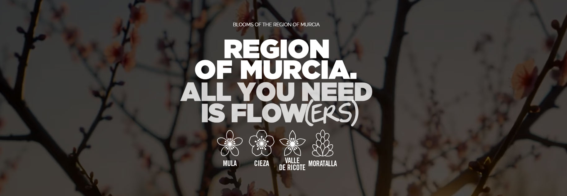Blooming in the Region of Murcia