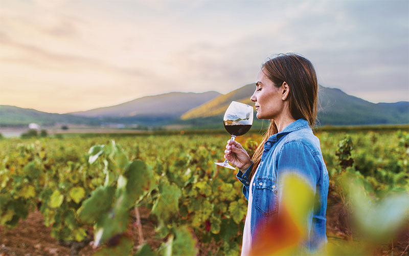 Planes para septiembre 3