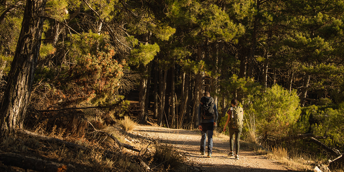 Enlace con informaci�on sobre visitas guiadas en la Regi�n de Murcia