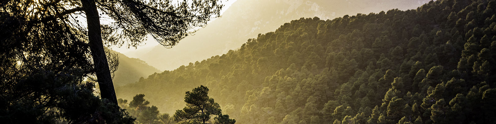 Sustainable <br>Tourism