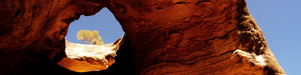 Lo que <br>no te puedes perder <br>Yecla