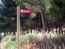 A post with an arrow in a rural area in which the logo and name of the Camino can be seen.