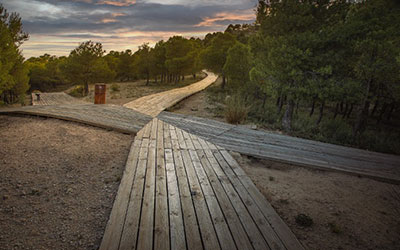 Senderismo y yoga en Yecla