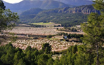 3 d�as en el interior de la regi�n