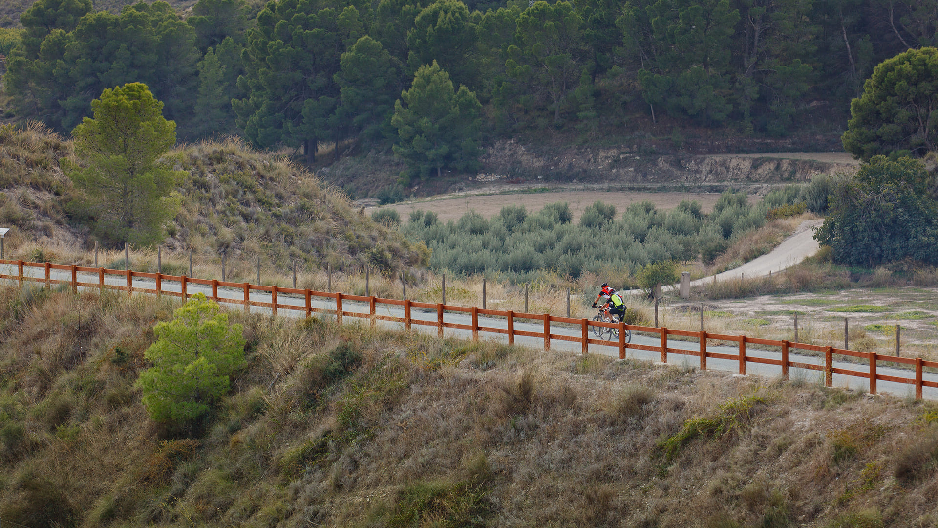 V�as Verdes