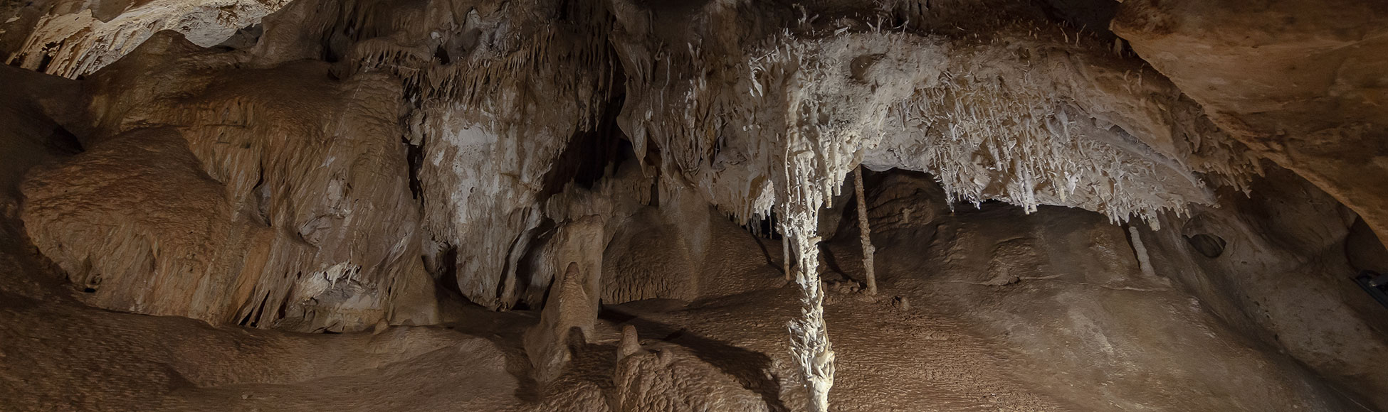 Un viaje al coraz�n de la tierra