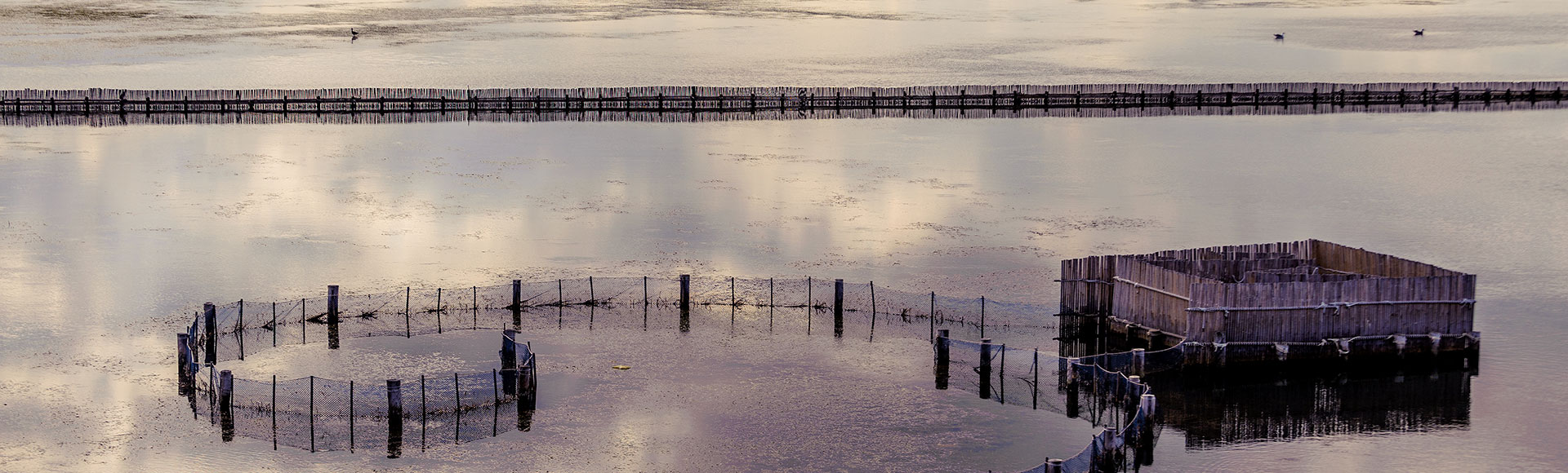 San Pedro del Pinatar