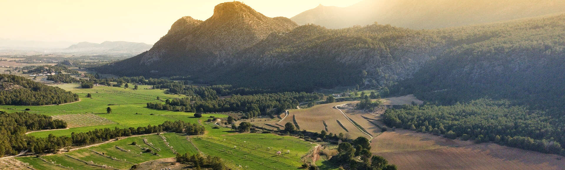 Territorio Sierra Espu�a