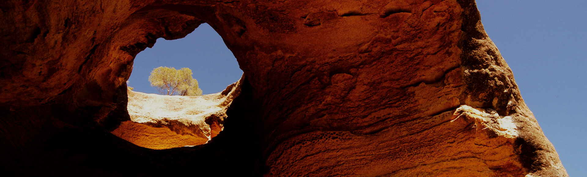 Lo que no te puedes perder en Yecla