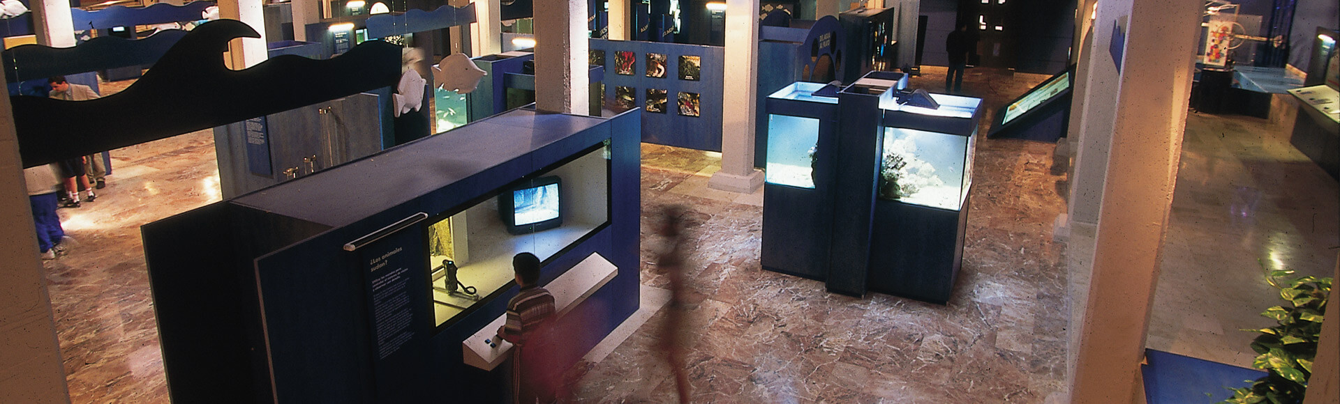 Cultura en famillia Murcia