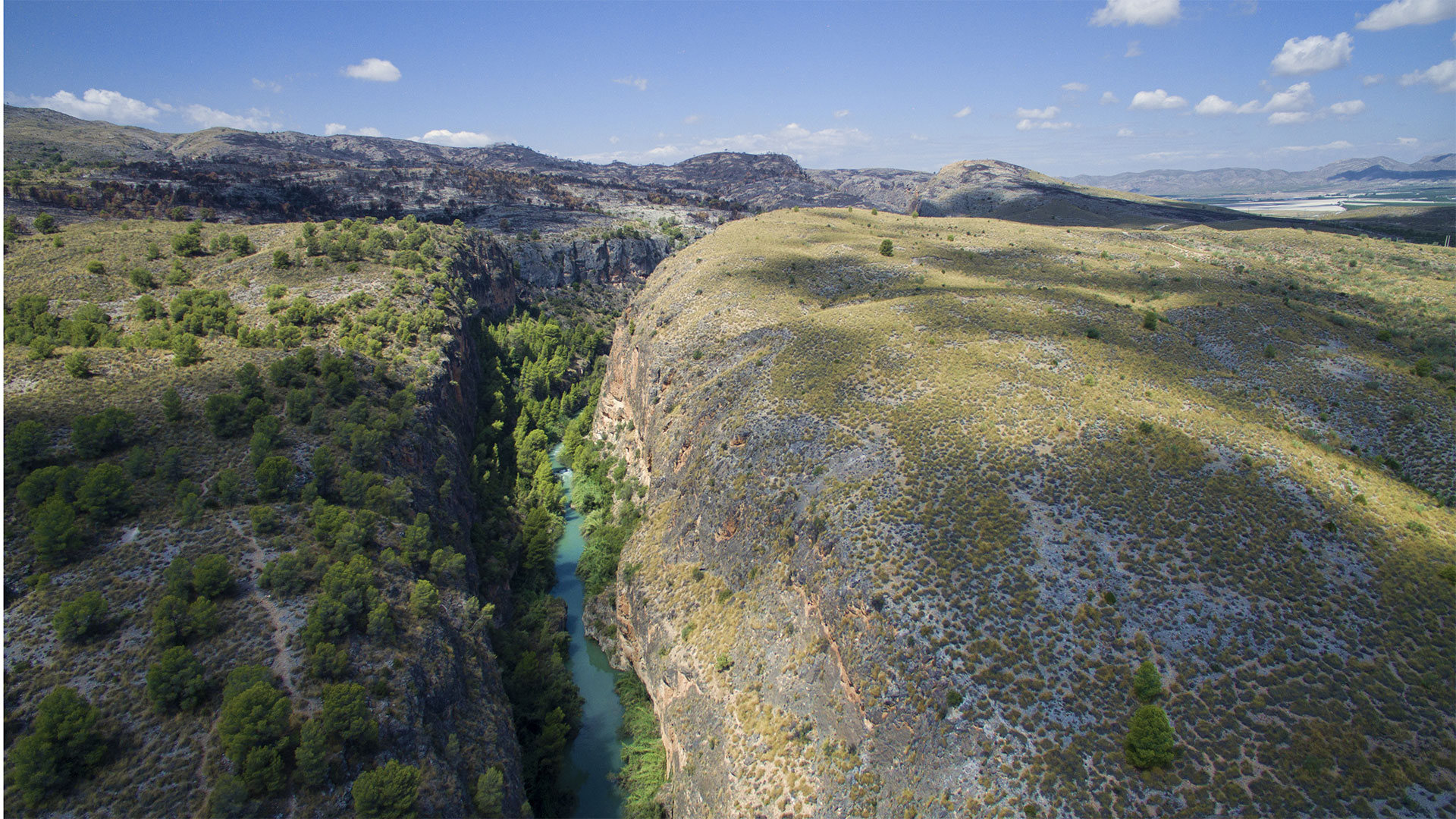 Amantes de la Naturaleza