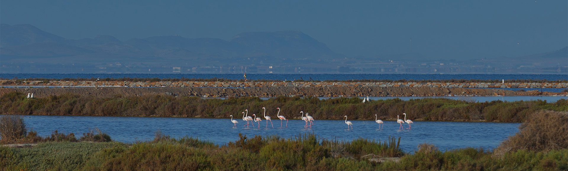 San Pedro del Pinatar