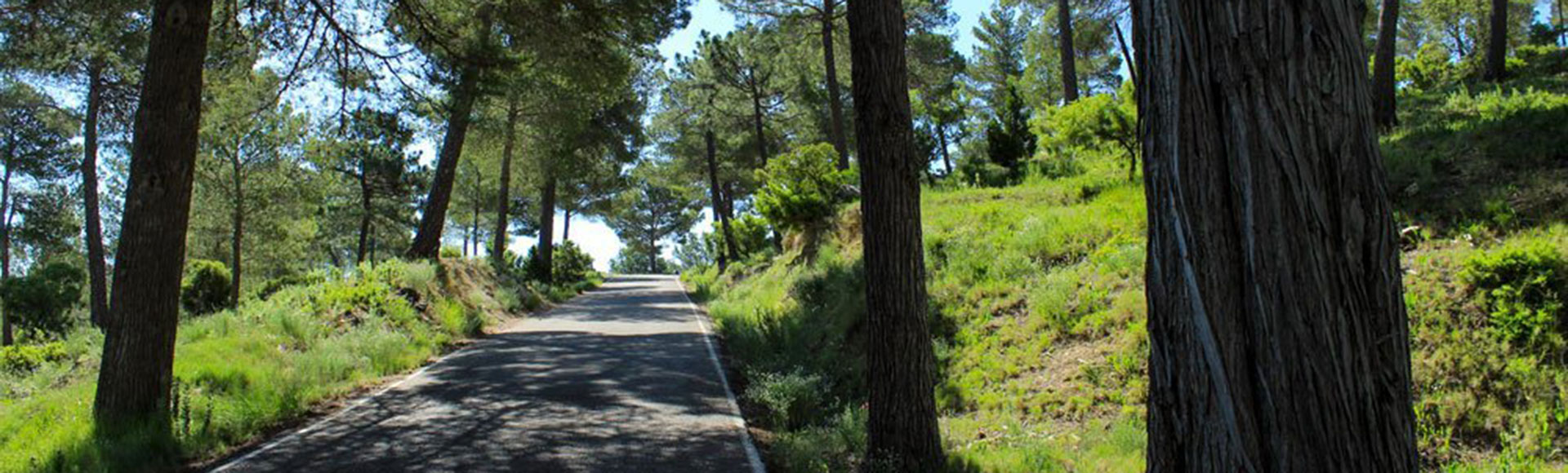 Espuroad. Ruta Norte