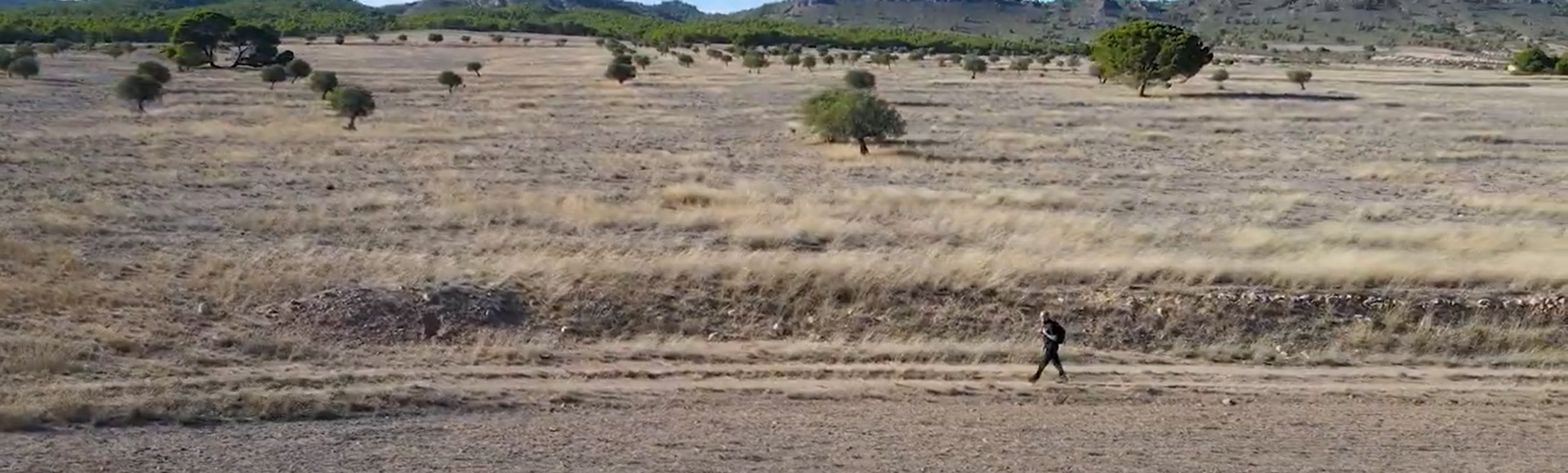Connection between Greenways: Chicharra Yecla - Cieza
