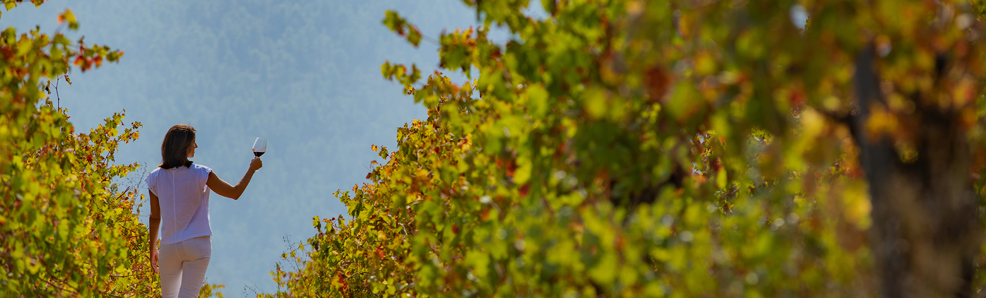 Turismo en familia en la Regi�n de Murcia