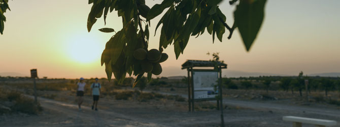 <strong>06</strong>  V�as Verdes